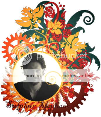 User Image
